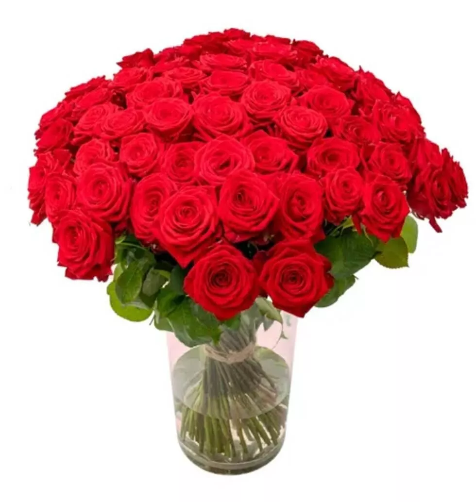 Love Blooms: 100 Red Naomi Roses