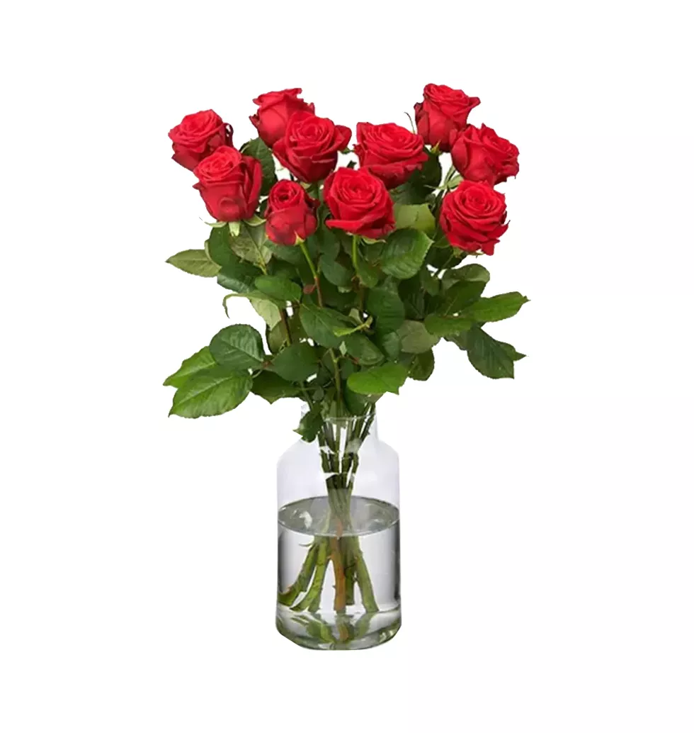 Premium 10 Red Roses