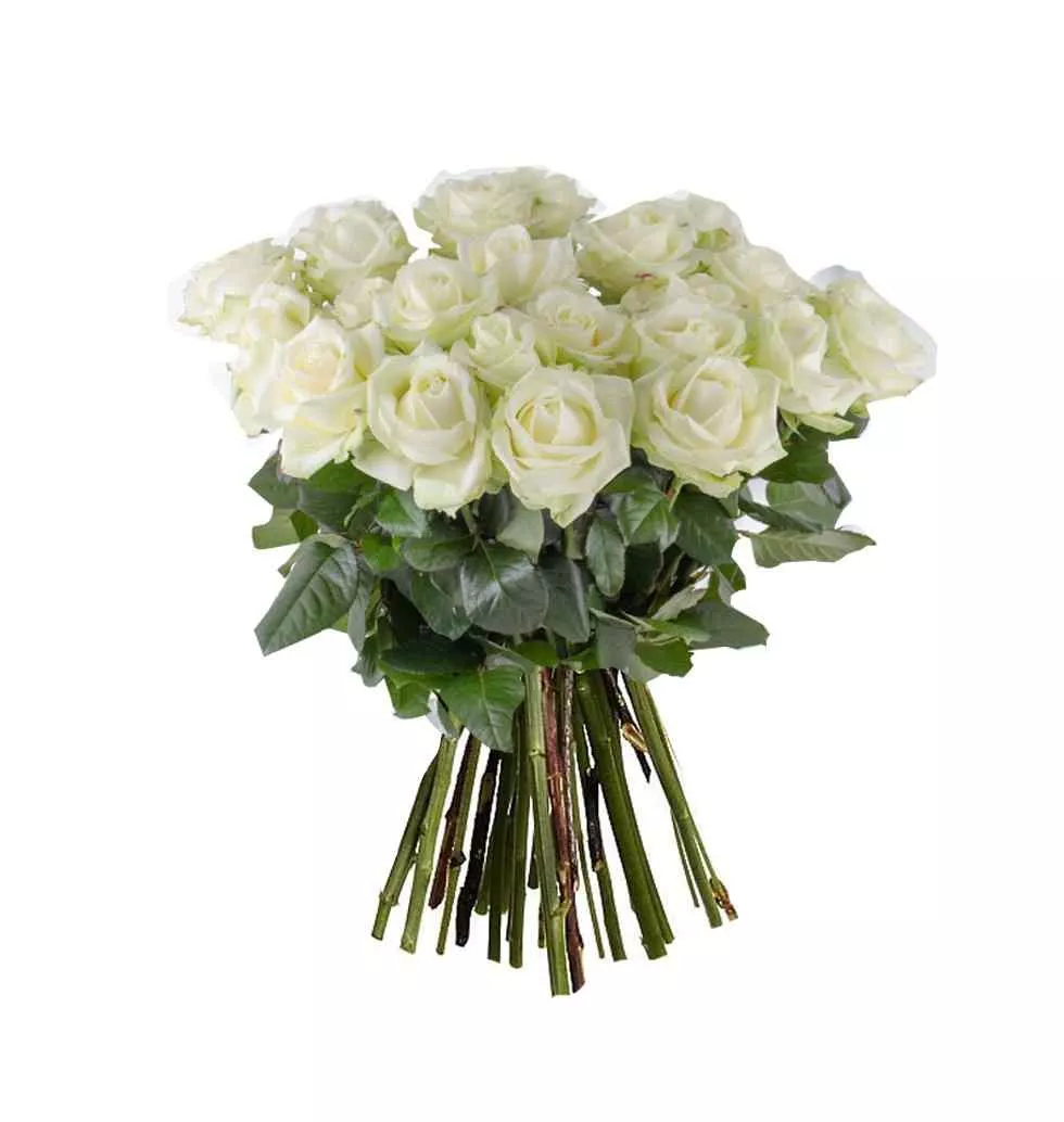 Pure Serenity10 White Roses