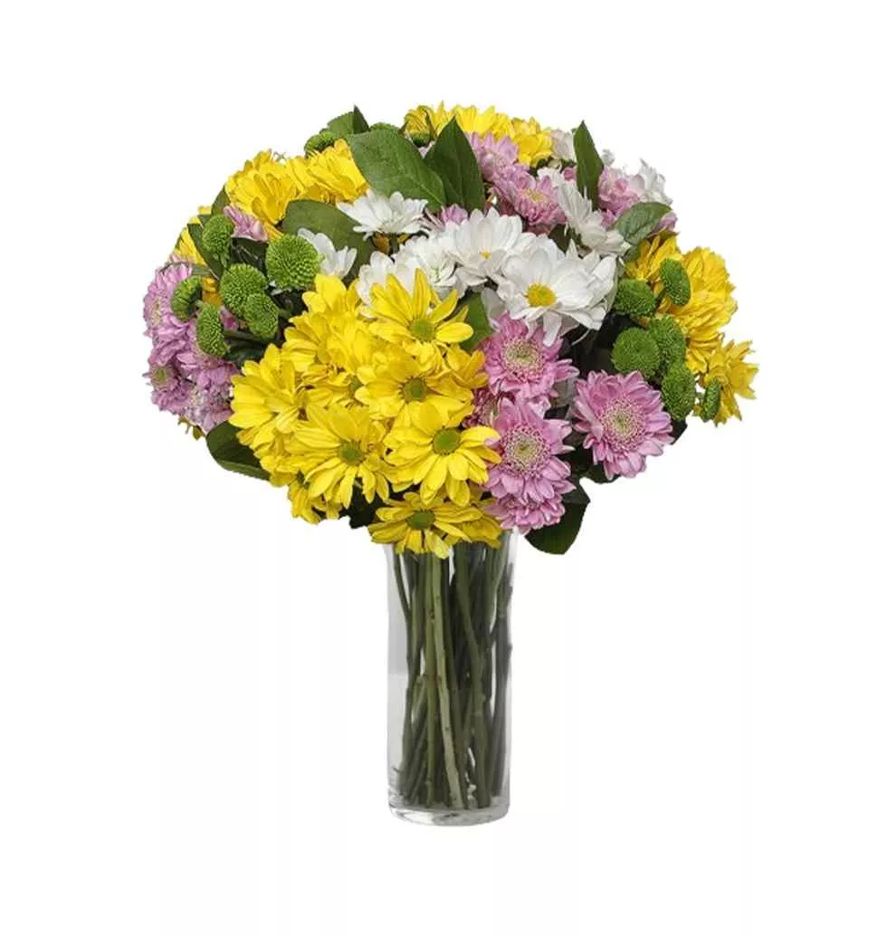 Colorful Chrysanthemum Ensemble