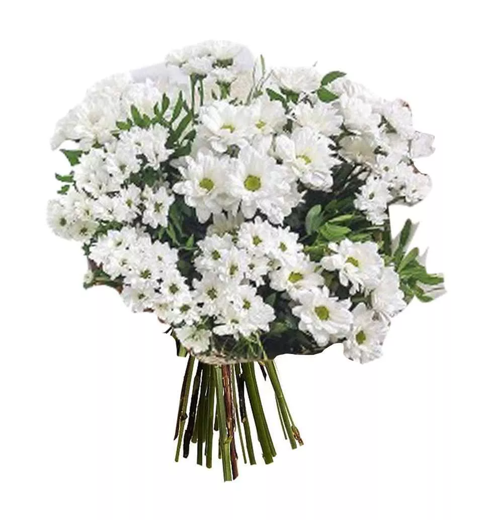 Chrysanthemum Splendor Bouquet