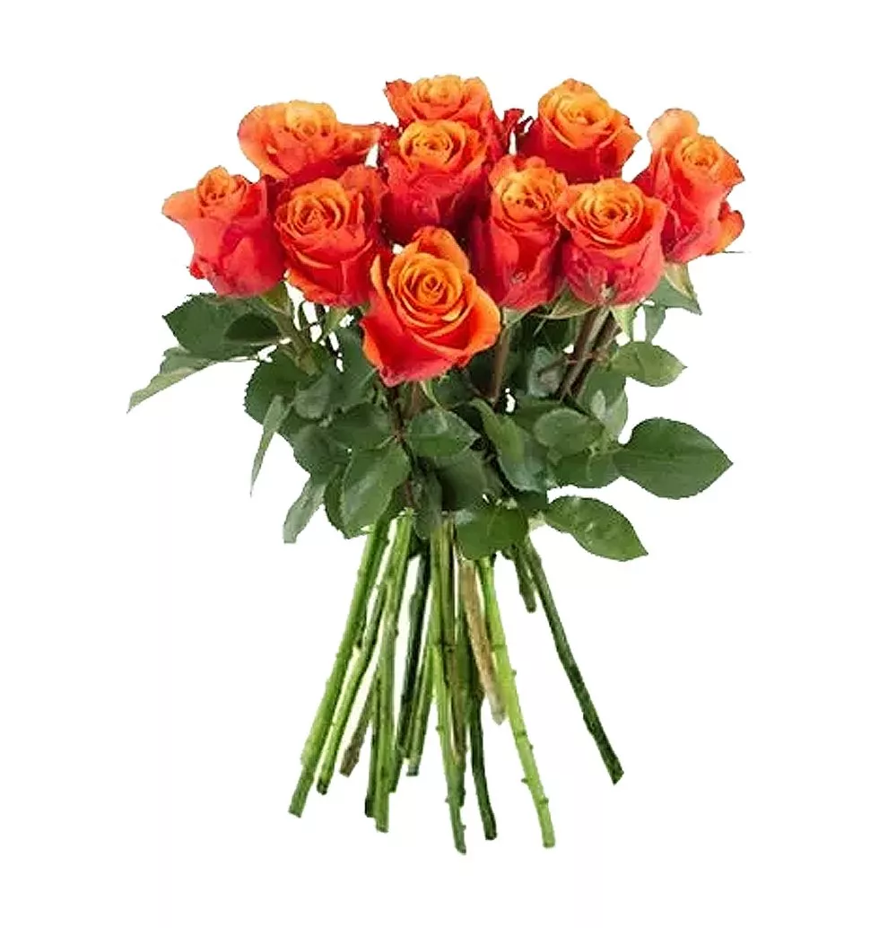 Vibrant Orange Rose Bouquet