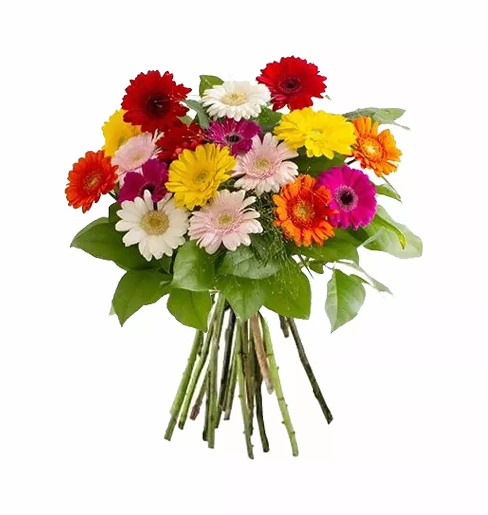 Vibrant Gerbera Bouquet