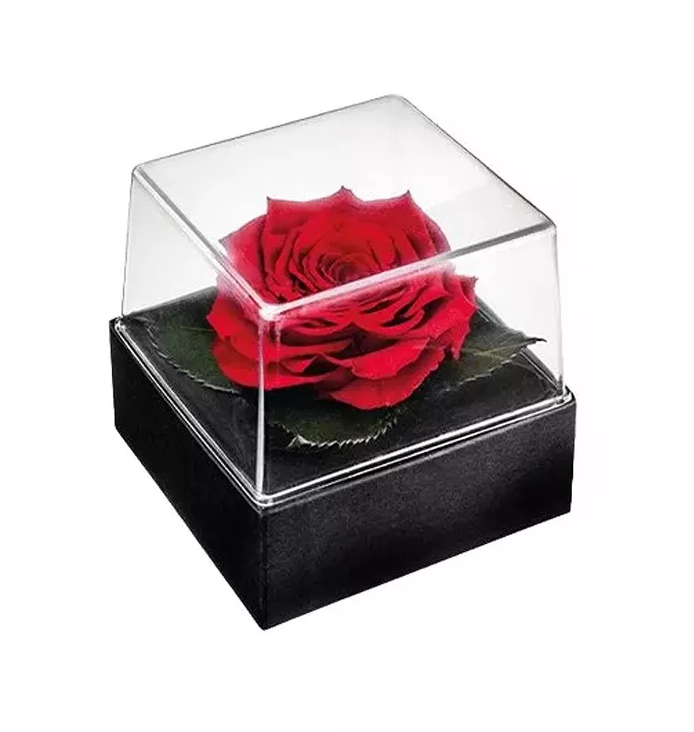 Eternal Rose Keepsake