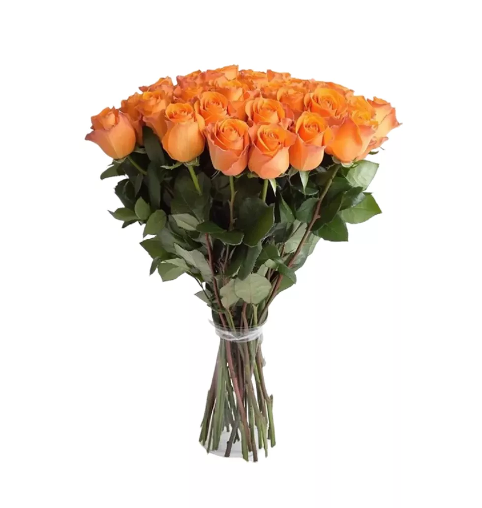 Joyful Orange Rose Collection