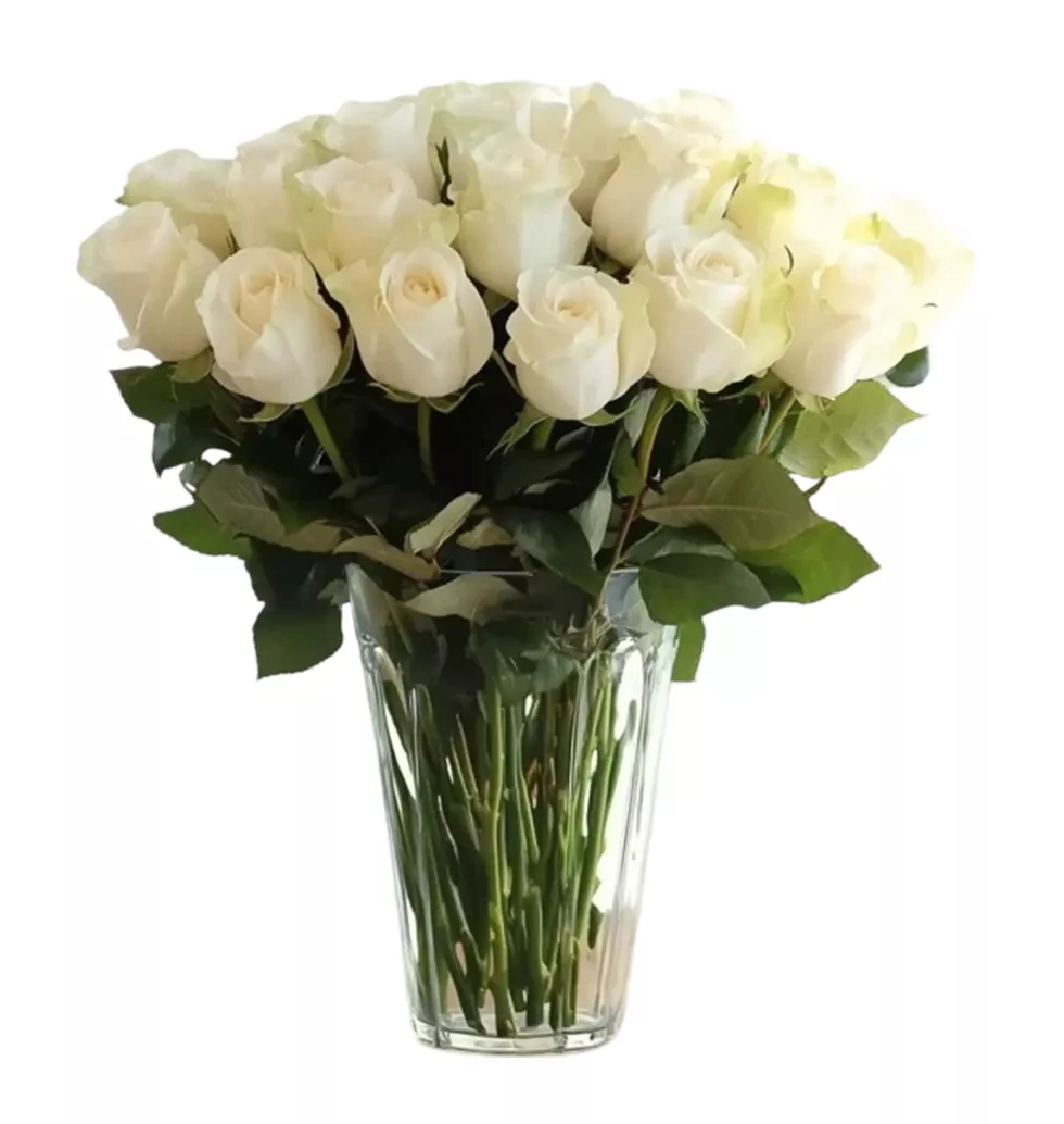 Blooming White Rose Elegance