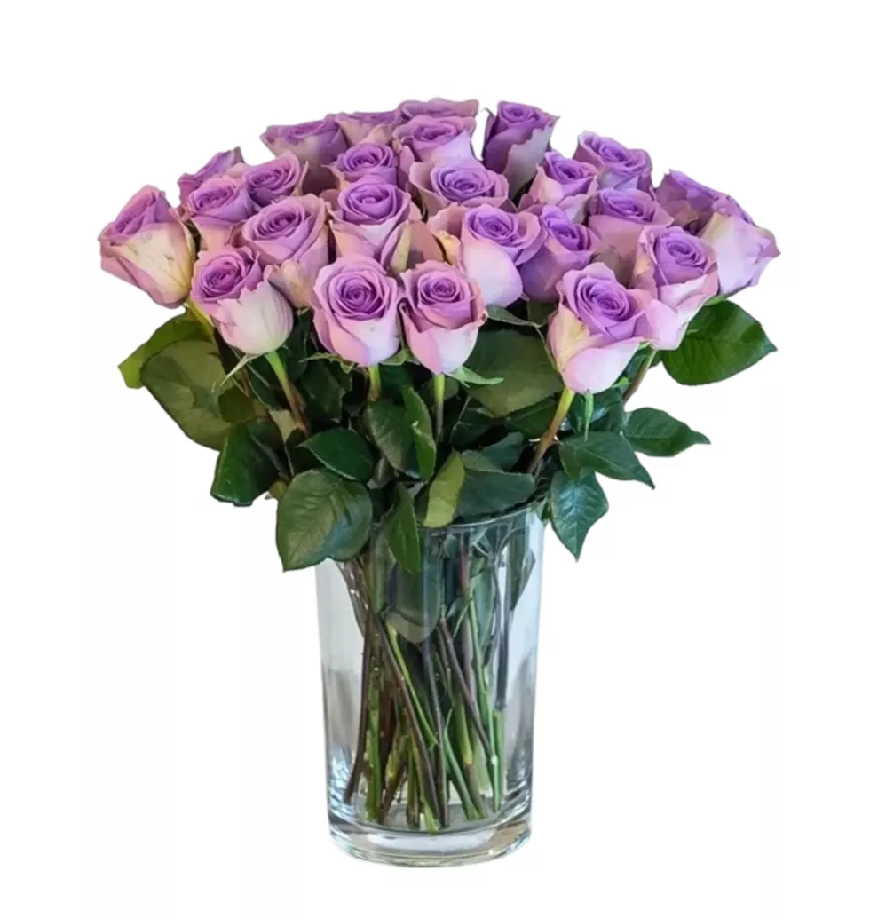 Blooming Beauty: Memory Lane Purple Roses