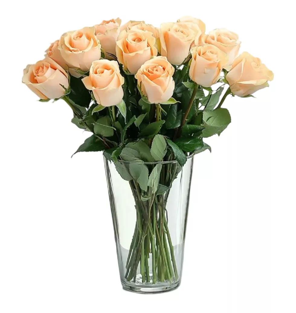 10 Beautiful Peach Roses Bouquet