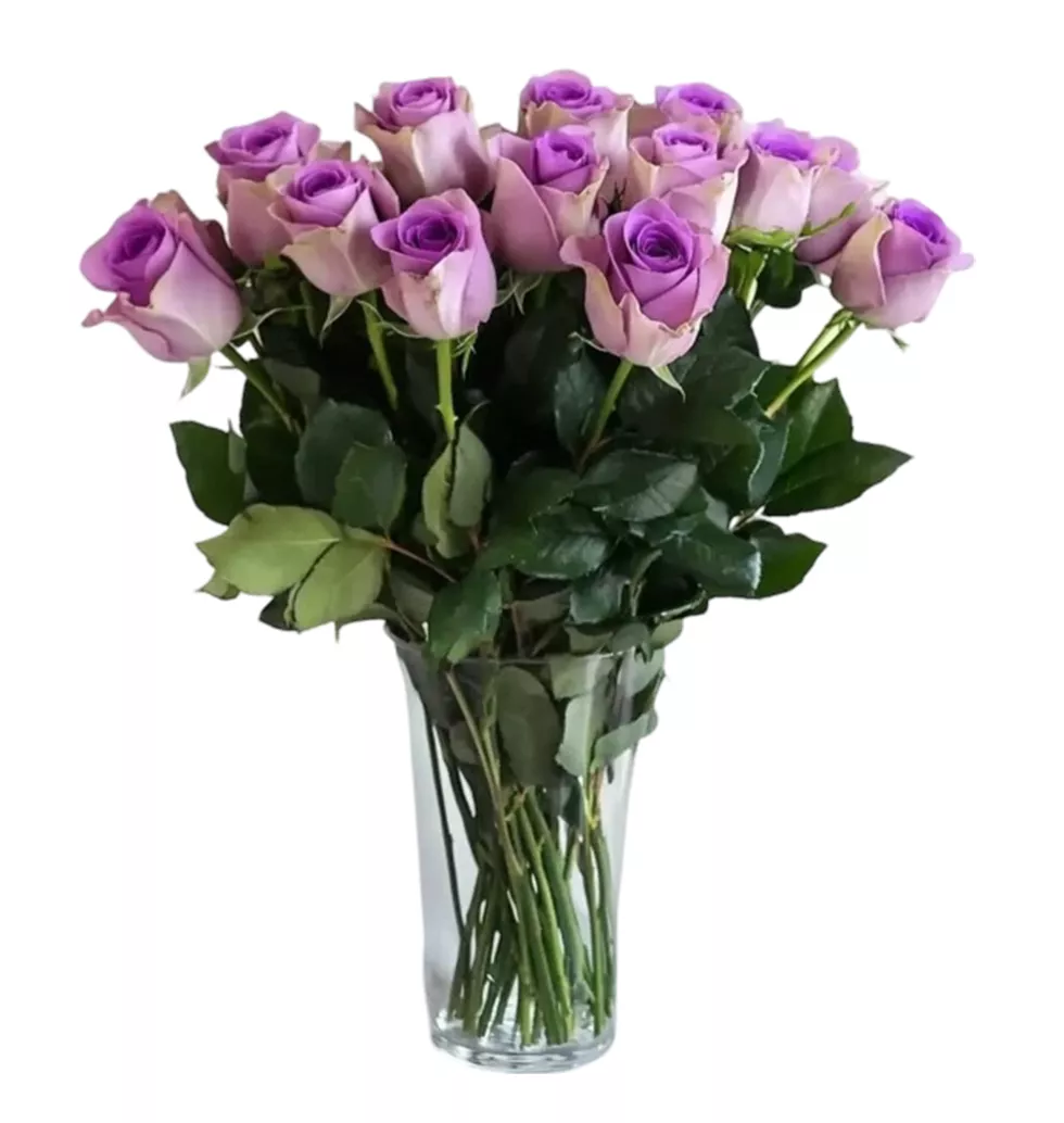 Lavender Hues: 10 Stunning Purple Roses