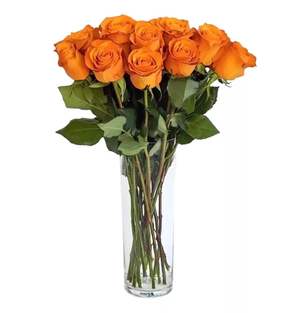 A Touch of Warmth: Orange Roses