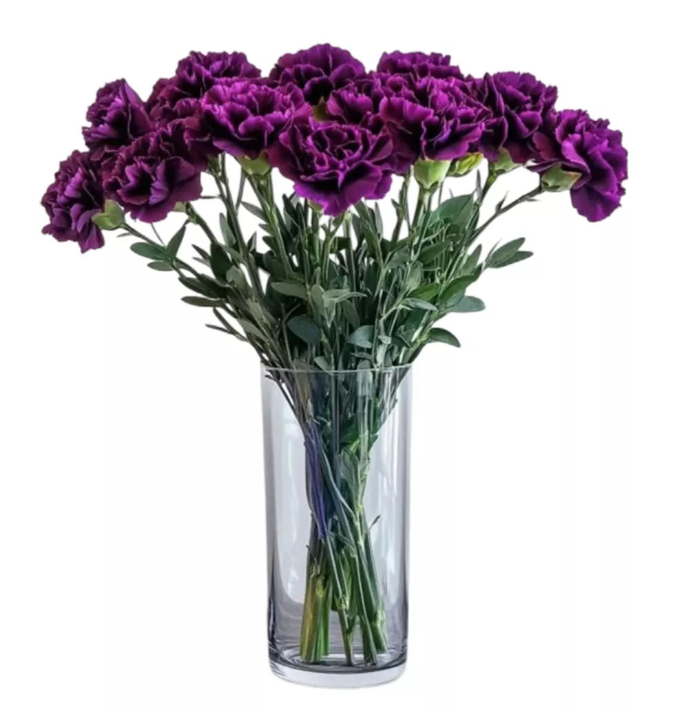 Stunning aubergine carnations bouquet