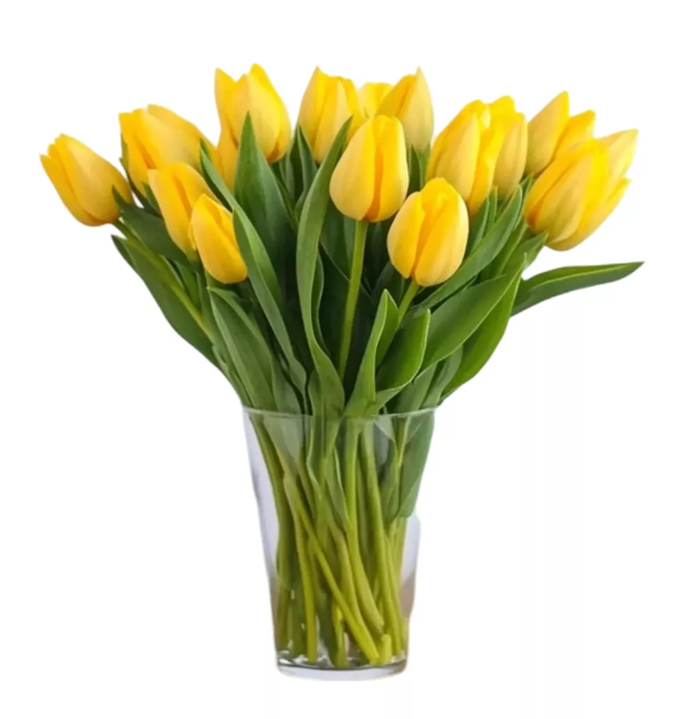 Golden Hues: Stunning Yellow Tulips