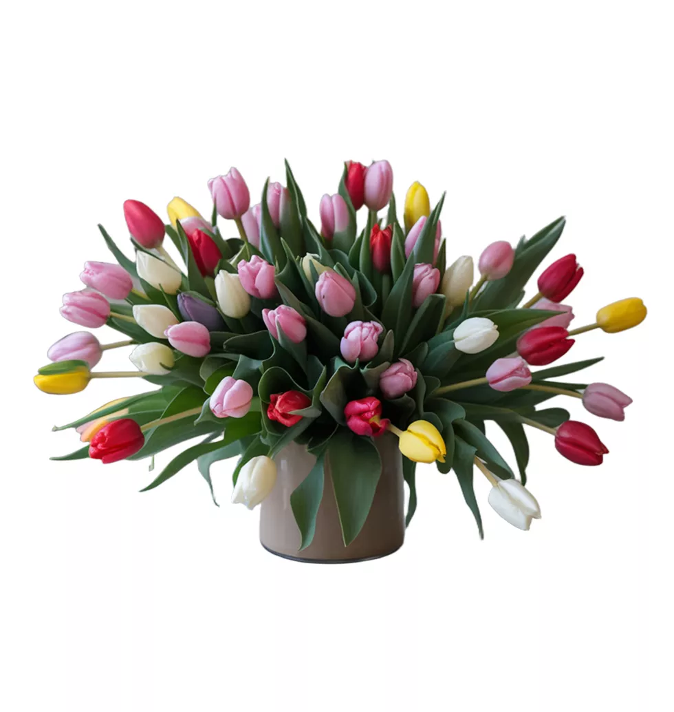 Tulip Festivity - 30 Colorful Stems