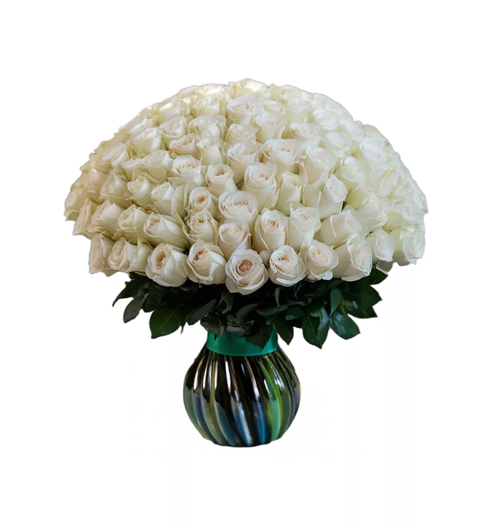 Elegant Roses: A Touch of Purity