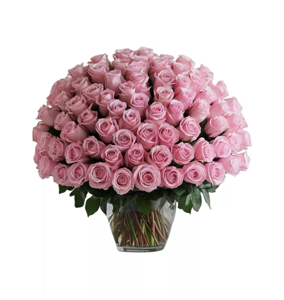 Graceful 100 Pink Rose Collection