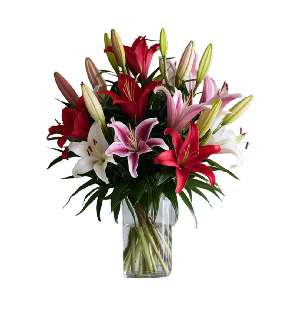 Fancy Lilies to Brighten Your Day