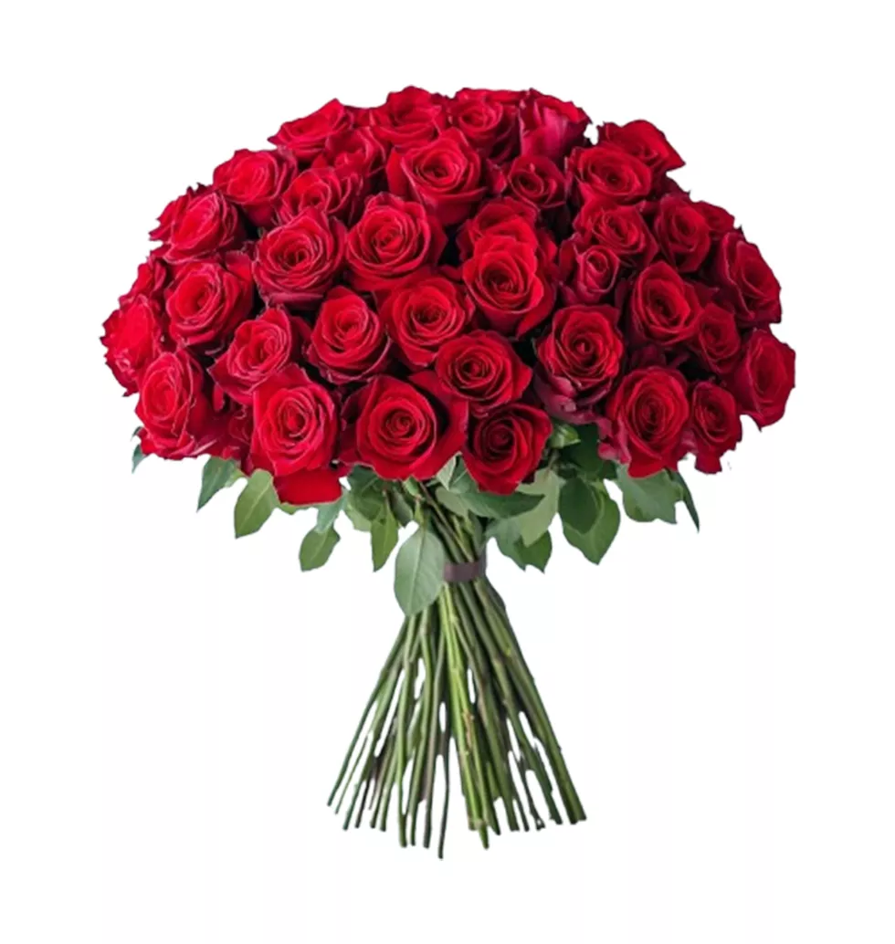 Heartfelt Gift: 50 Elegant Red Roses